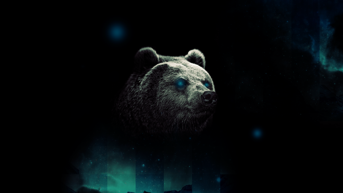 Медведь HD