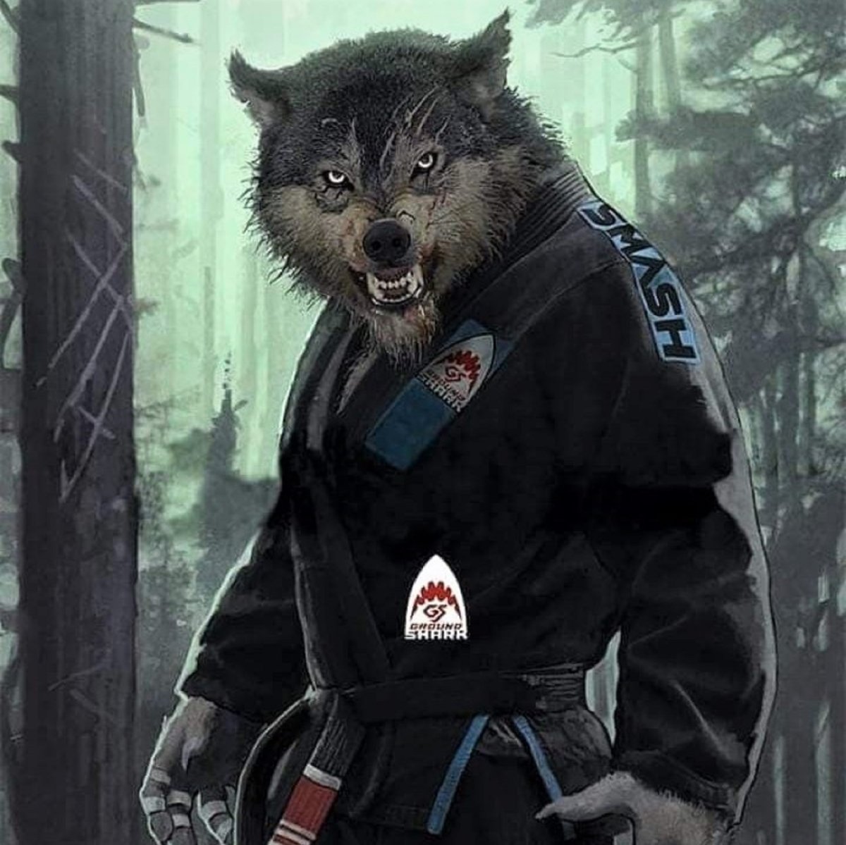 Звери бойцы джиу джитсу