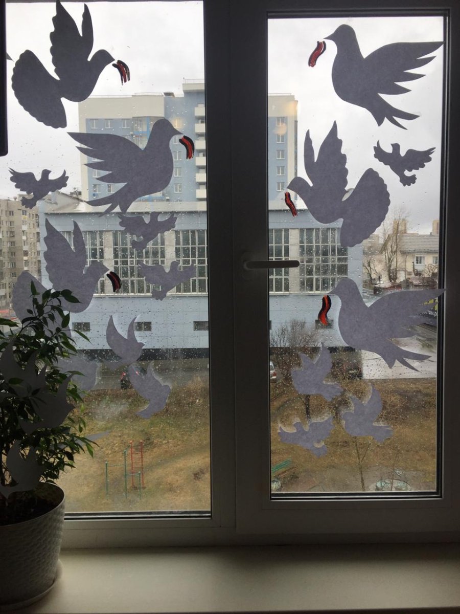 Акция голубь на окне