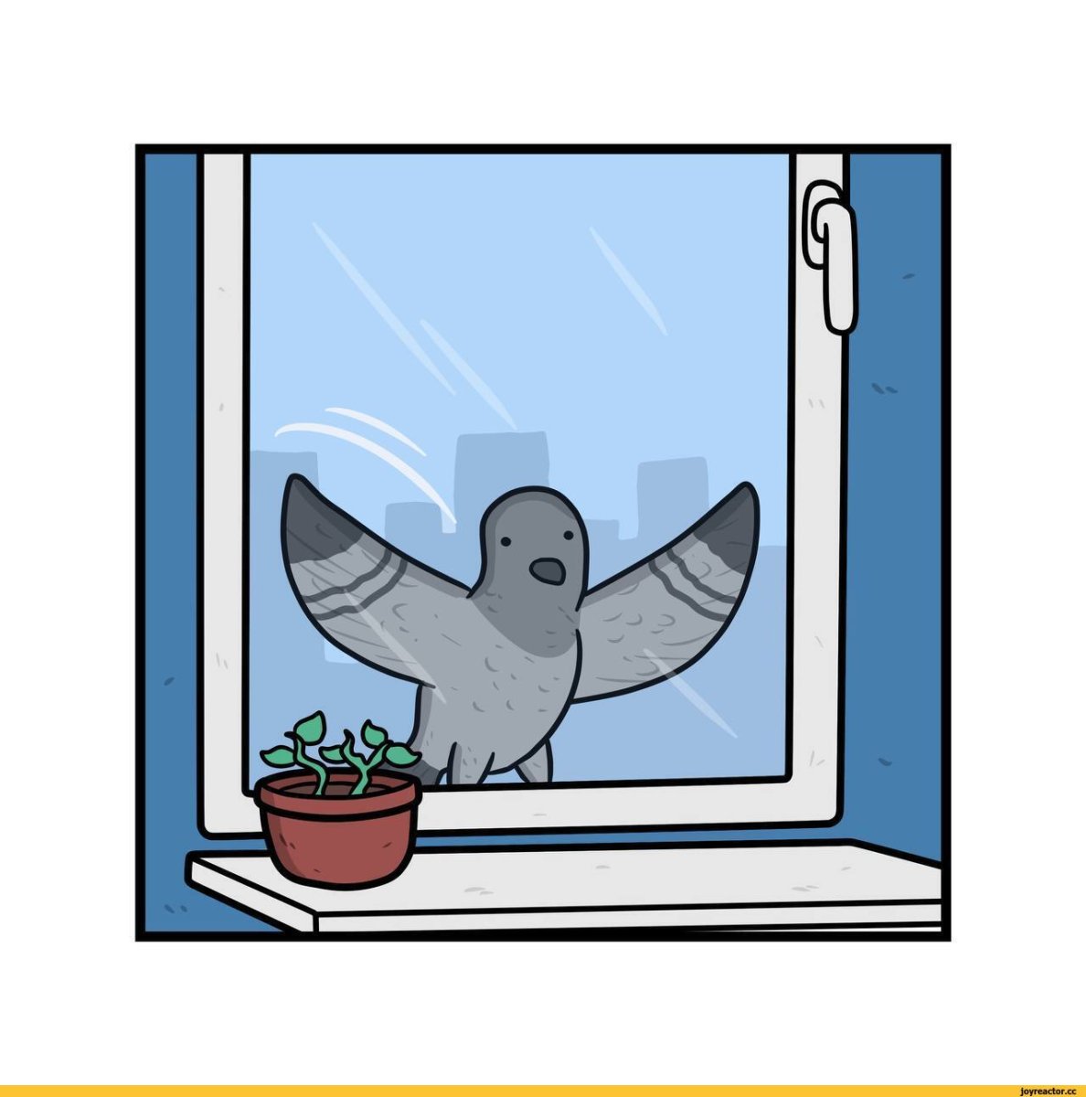 Спишь голубь прикол