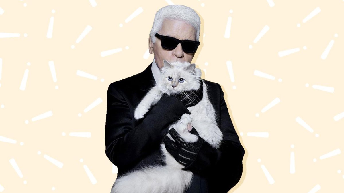 Шупетт кошка Лагерфельда