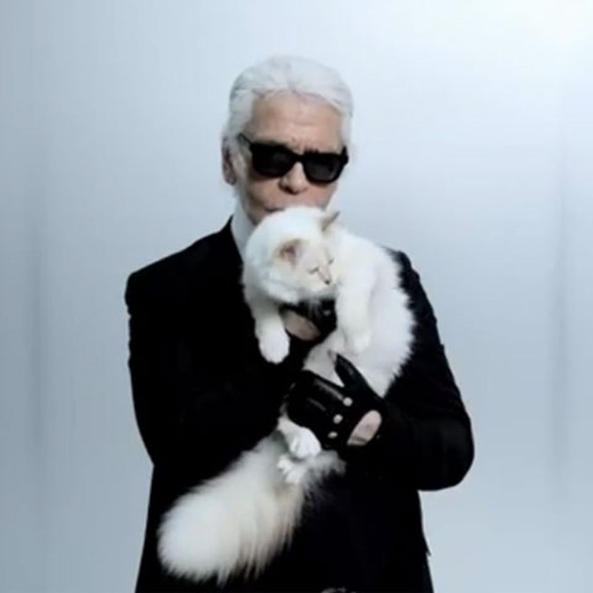 Шупетт Лагерфельд кошка