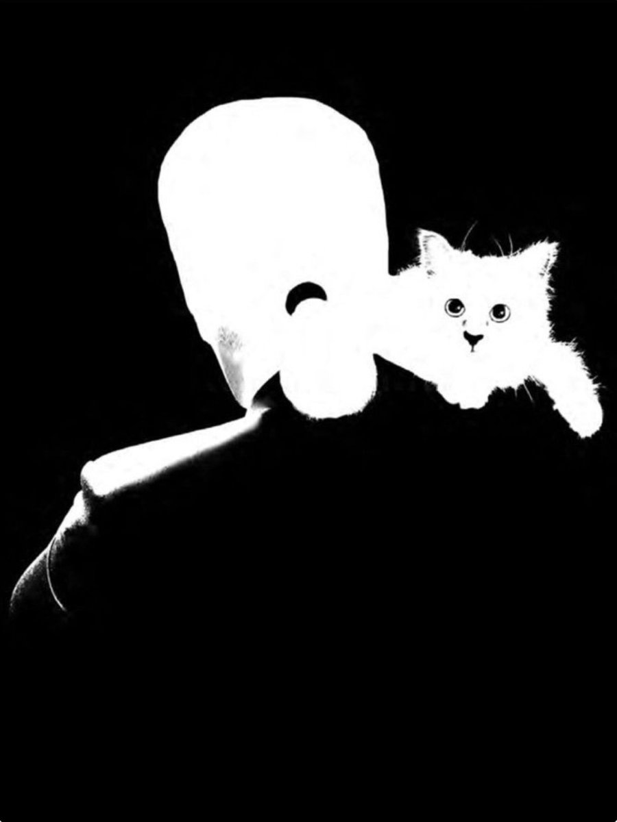 Кот Лагерфельда рисунок