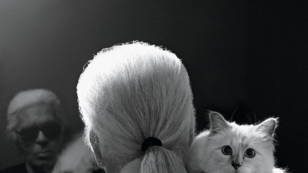 Карл Лагерфельд и Шупетт