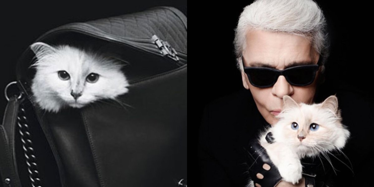 Карл Лагерфельд и Шупетт