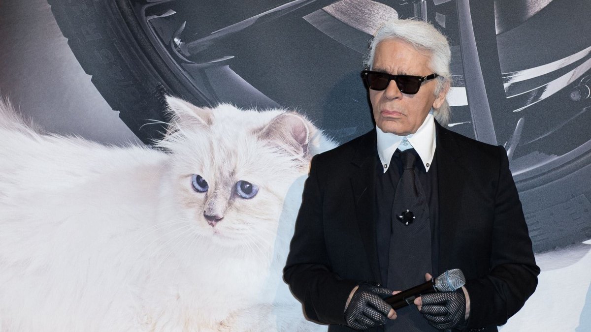 Шупетт кошка Лагерфельда