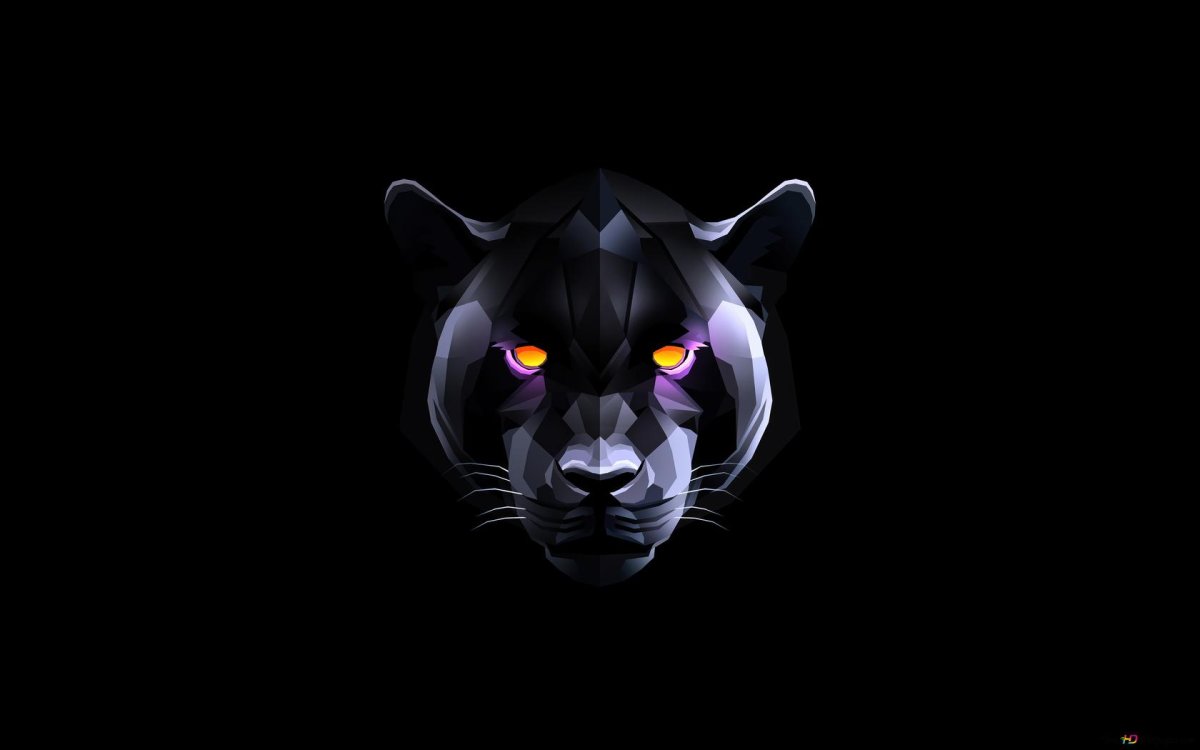 Обои на телефон пантера