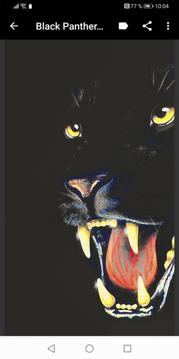 Лицо пантеры на черном фоне