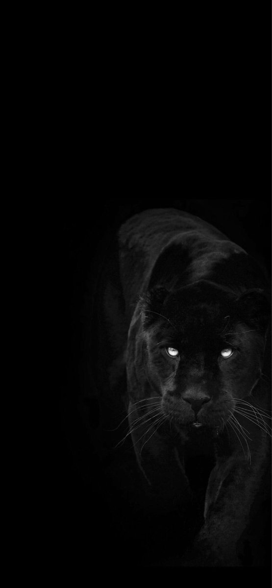 Красивые черные картинки