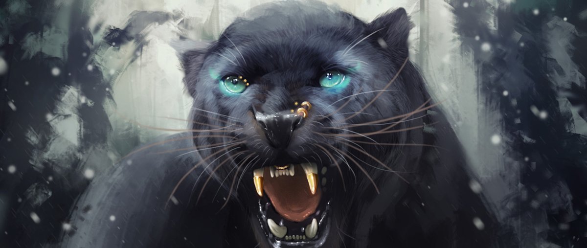 Черная пантера с голубыми глазами