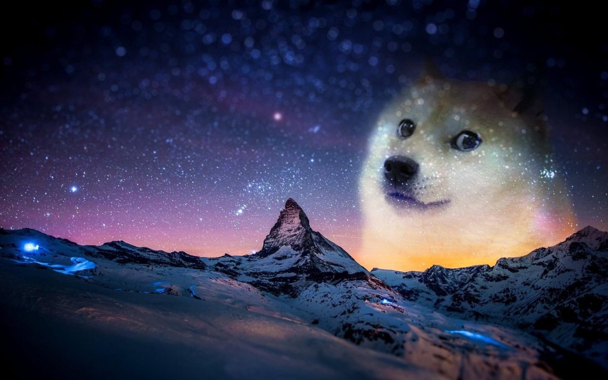 Космическая собака