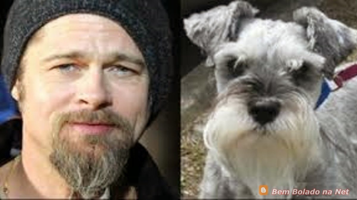 Собака с усами