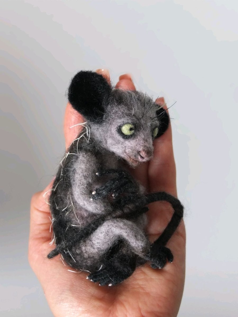 Мадагаскарская руконожка