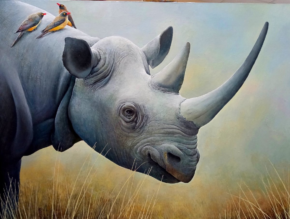 Носорог м воловья птица