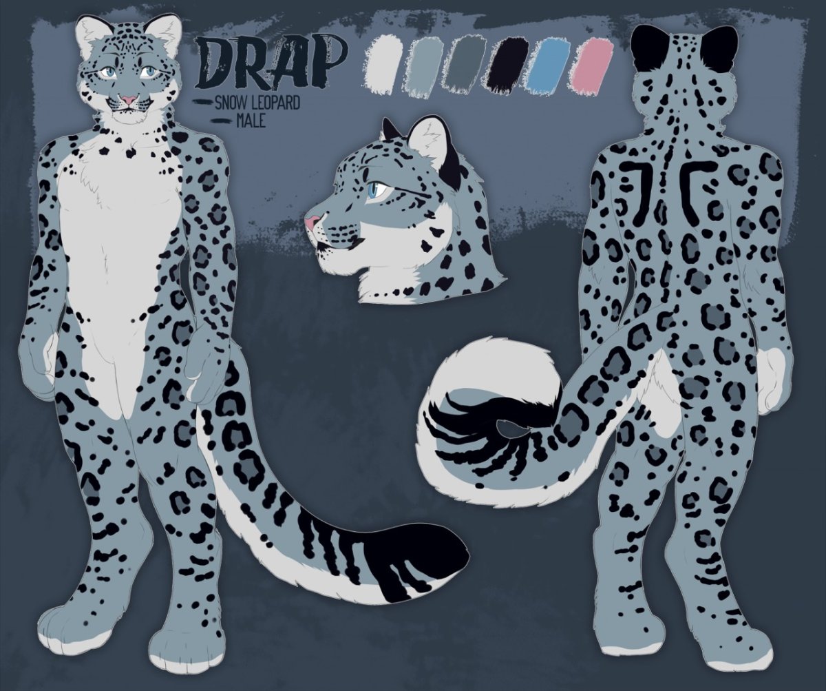 Фурсьют снежный Барс