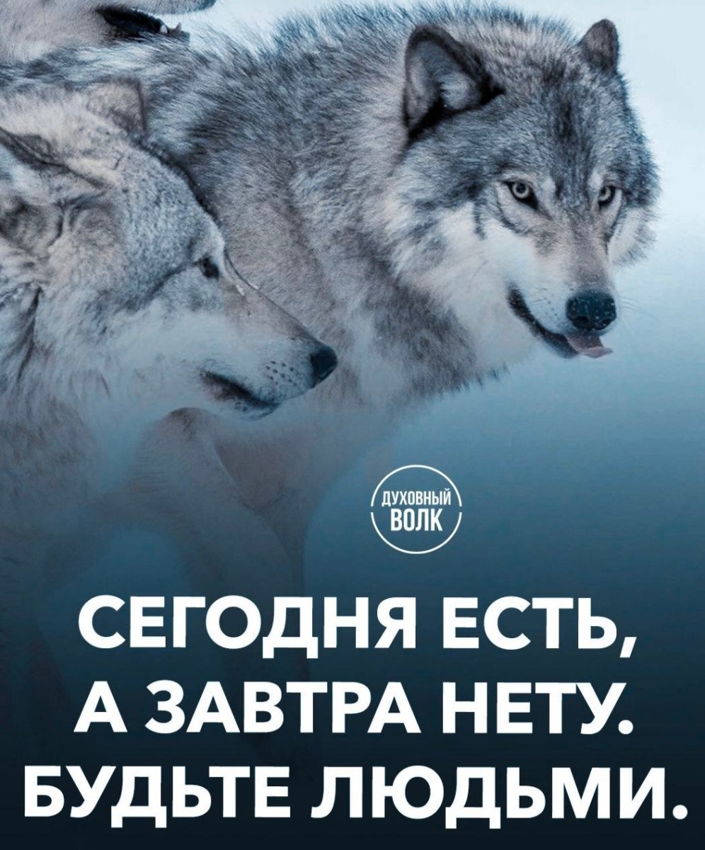 Духовный волк