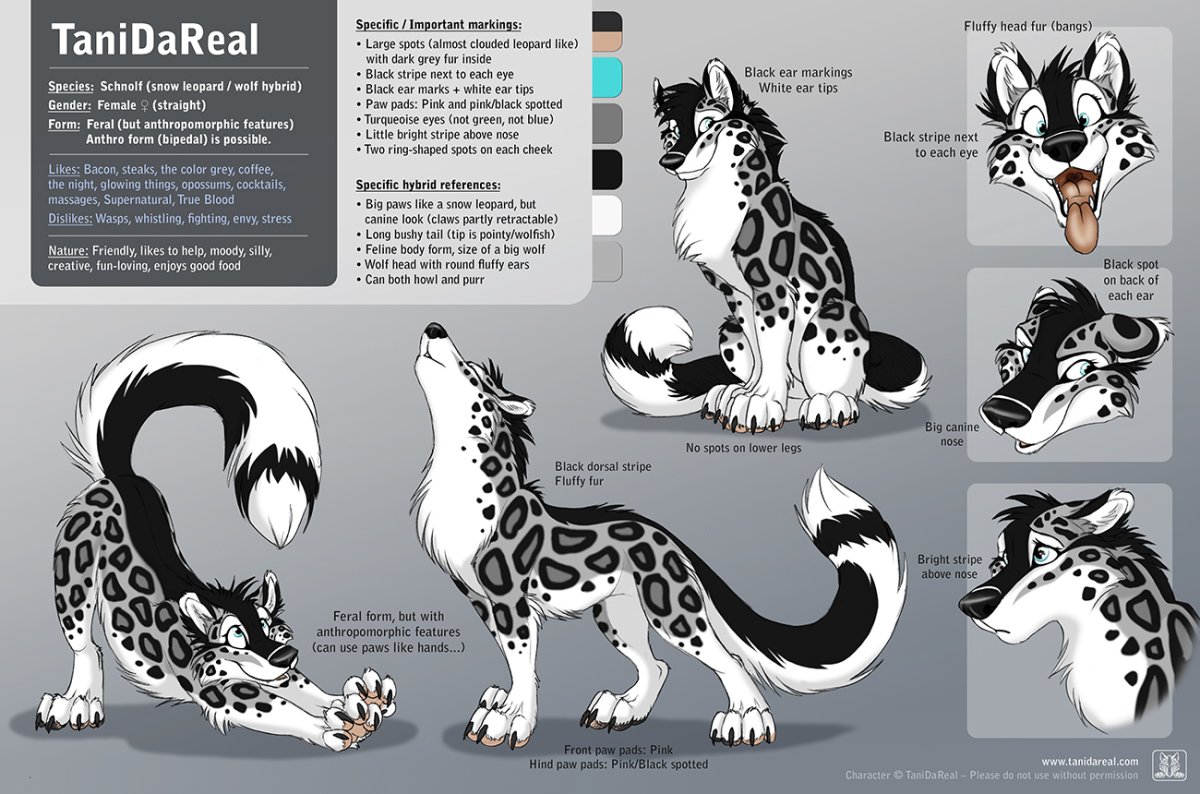 Фурри TANIDAREAL