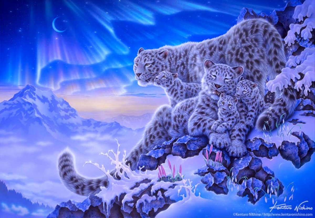 Кентаро Нишино тигры