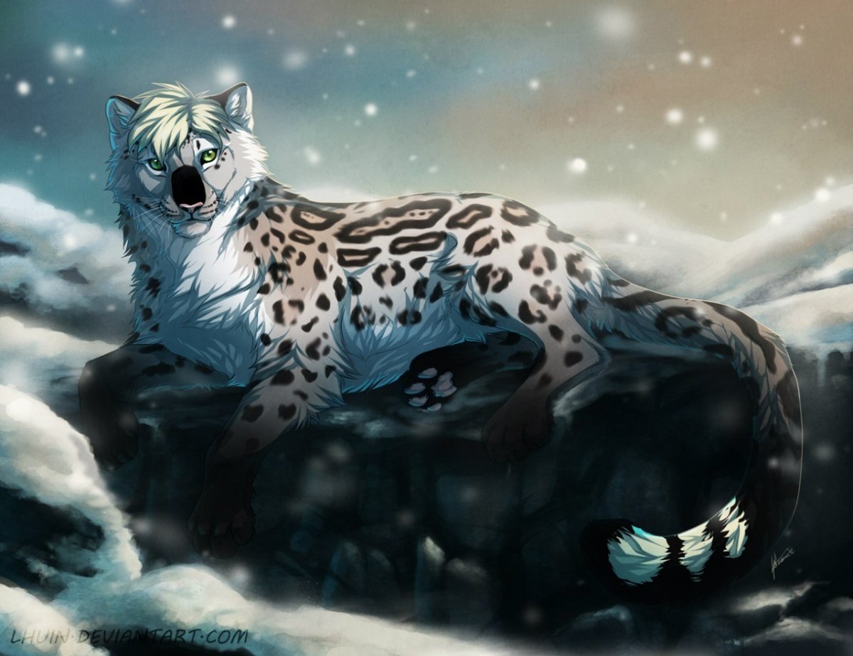 Снежный Барс арты