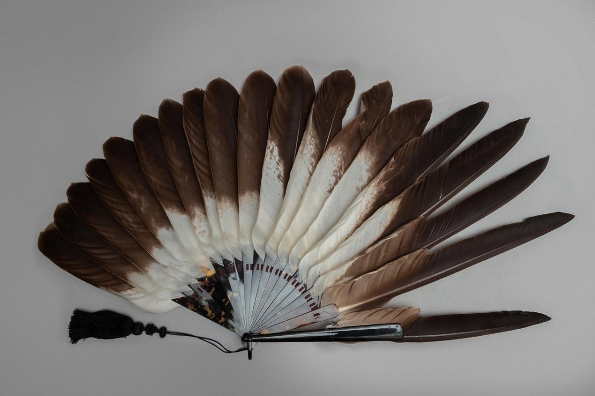 Японский веер с перьями