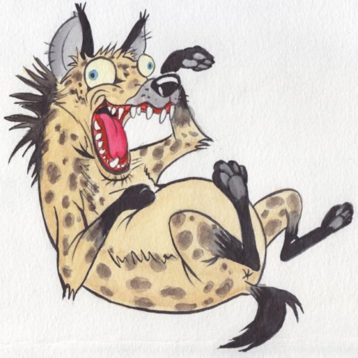 Гиена смеется