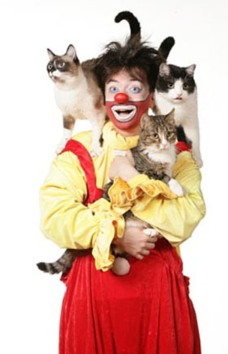 Куклачев шоу кошек