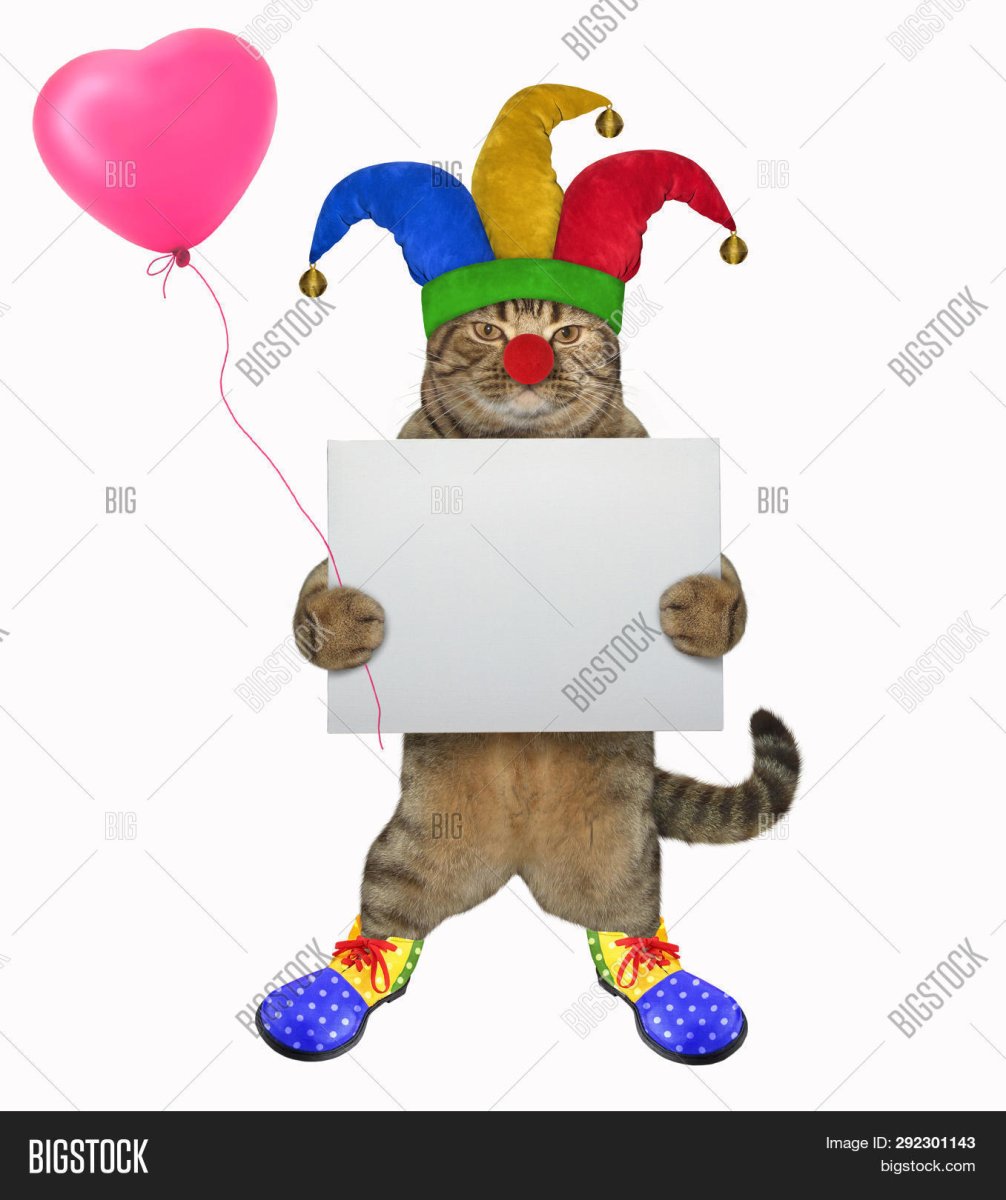 Кот Скоморох