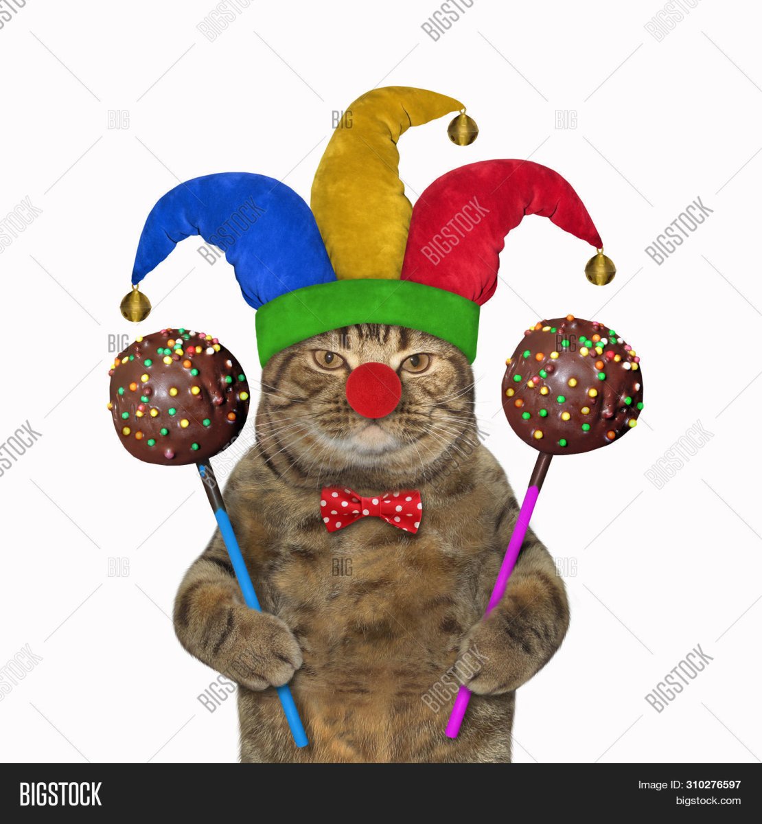 Котик в костюме клоуна