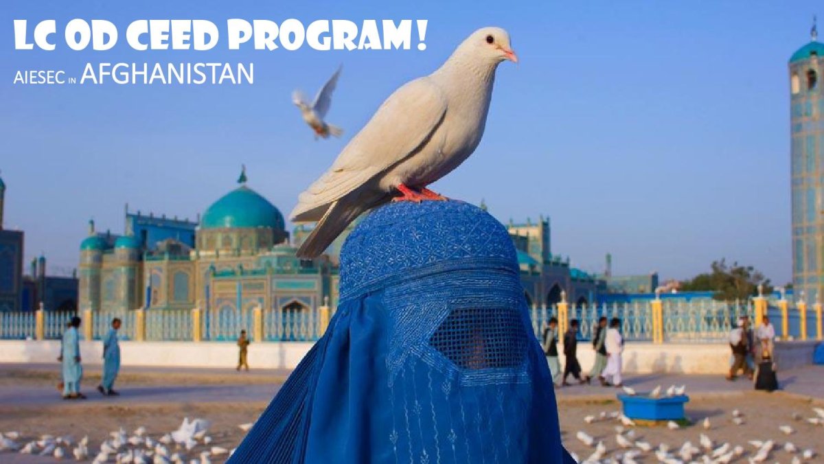 Мечеть Мазари Шариф