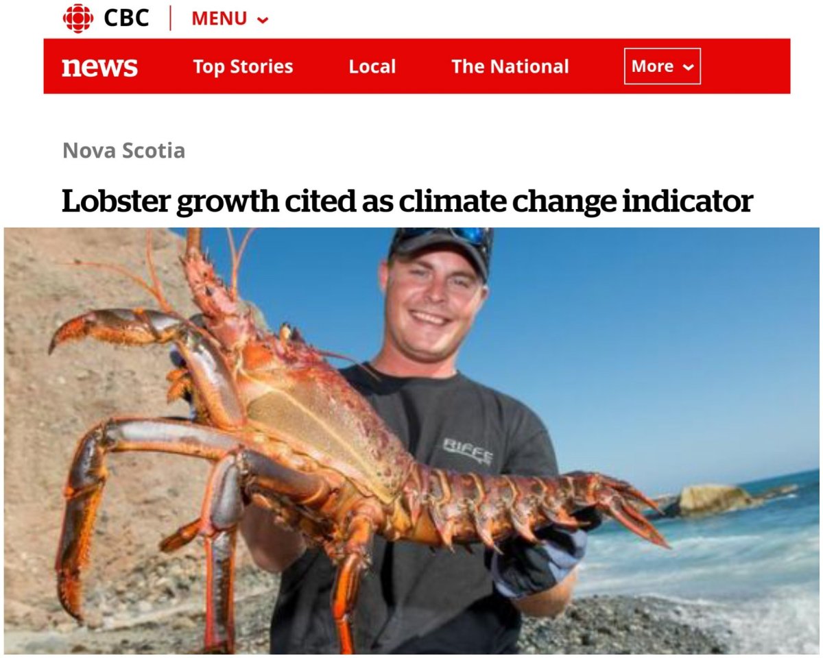 Лангустин лангуст Омар лобстер