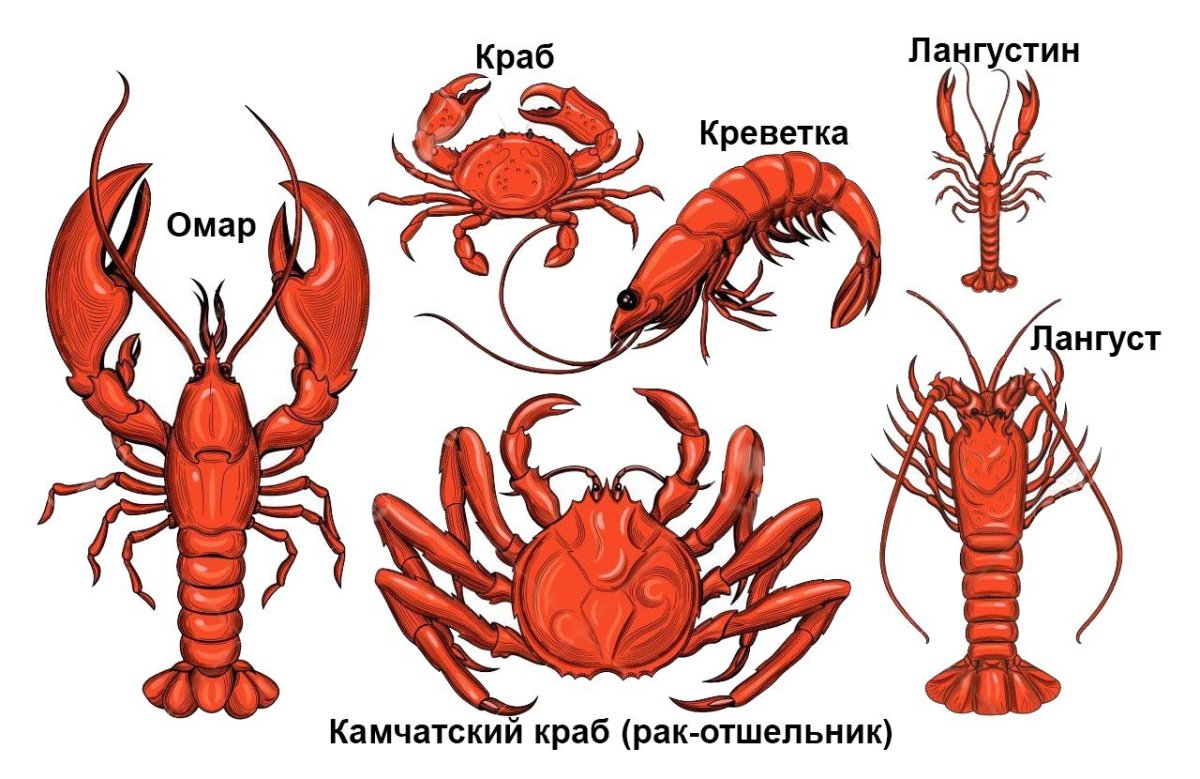 Омар лобстер лангуст