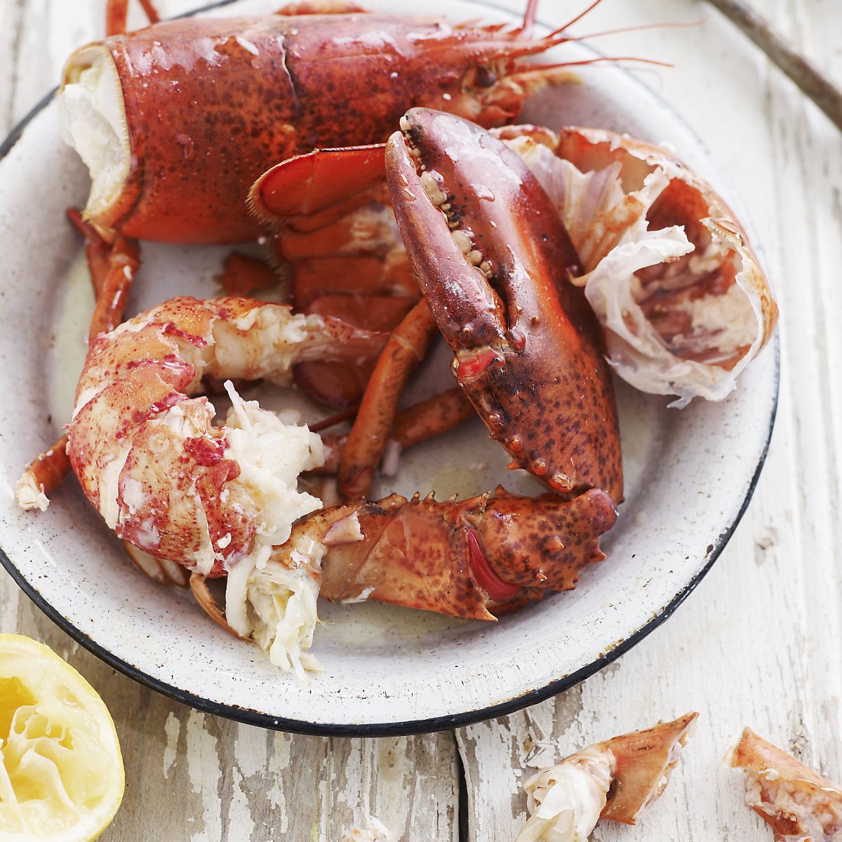 Морепродукты Омар лангуст