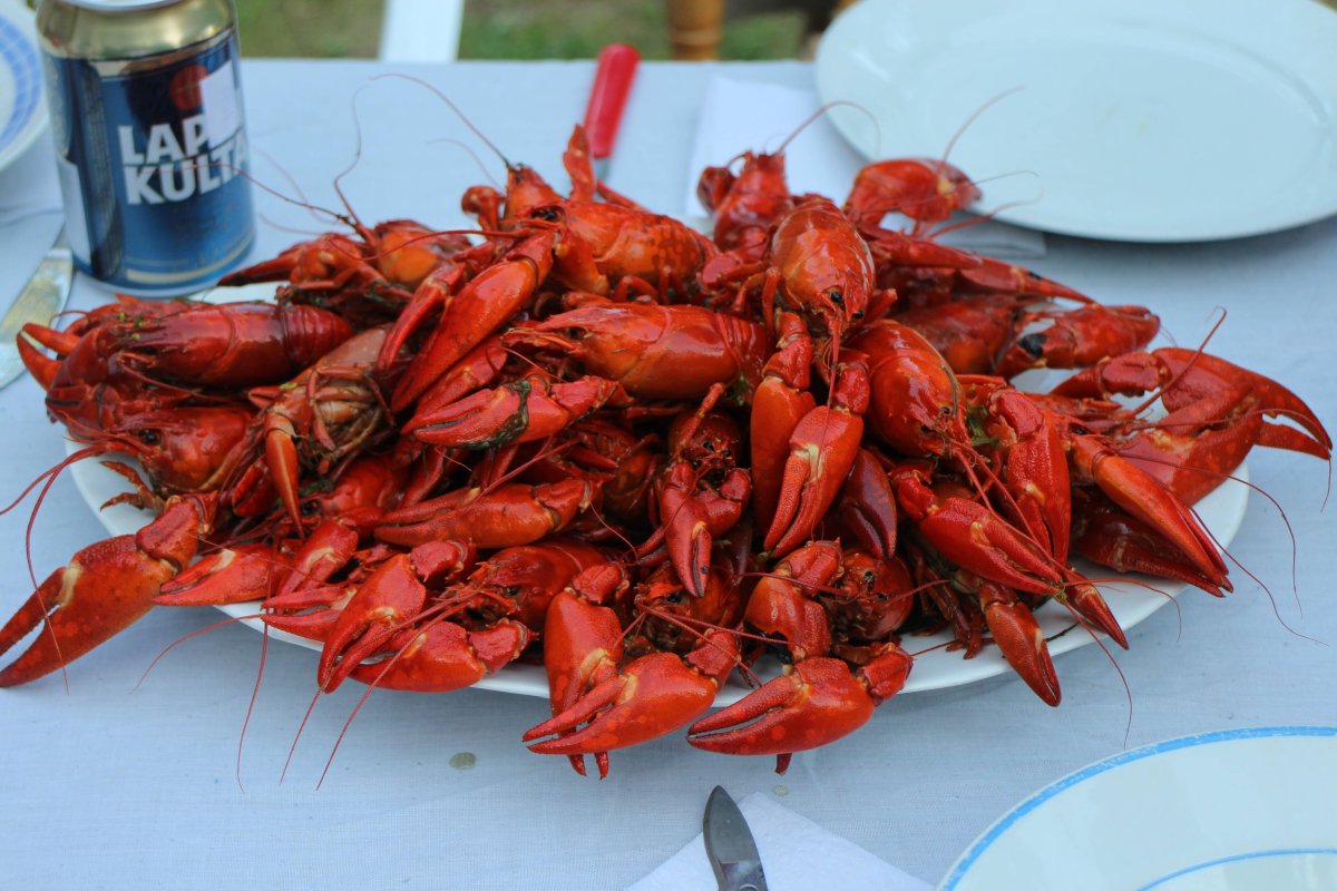 Омар краб лобстер