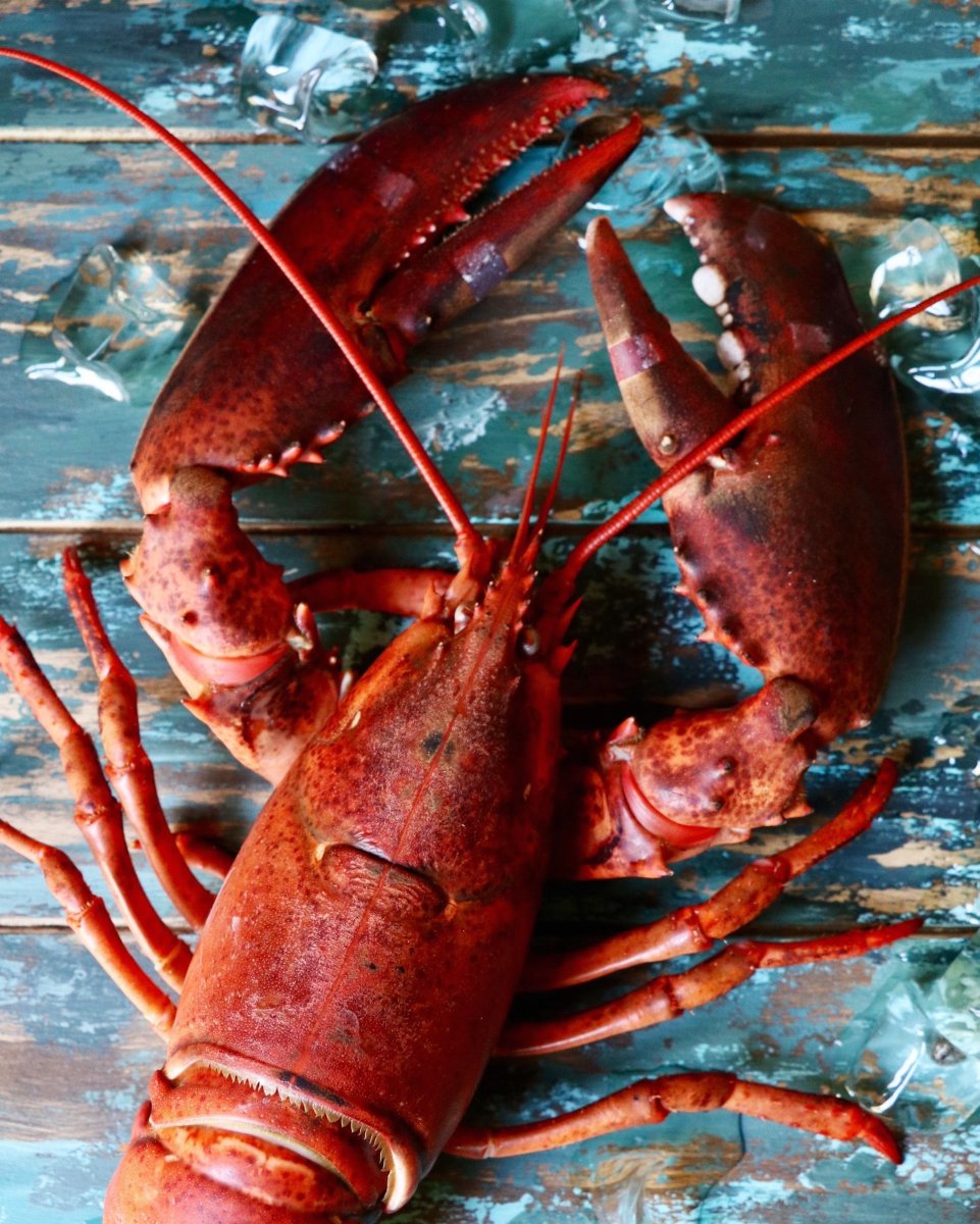 Омар краб лобстер