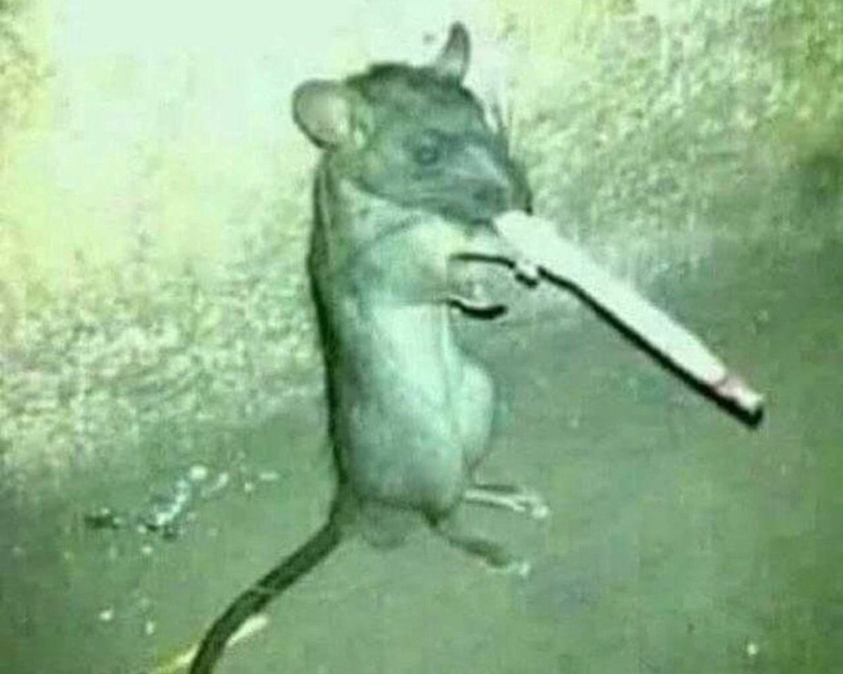 Мышь с сигаретой