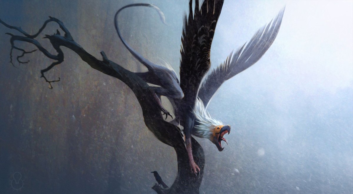 Птица громовержец фантастические твари