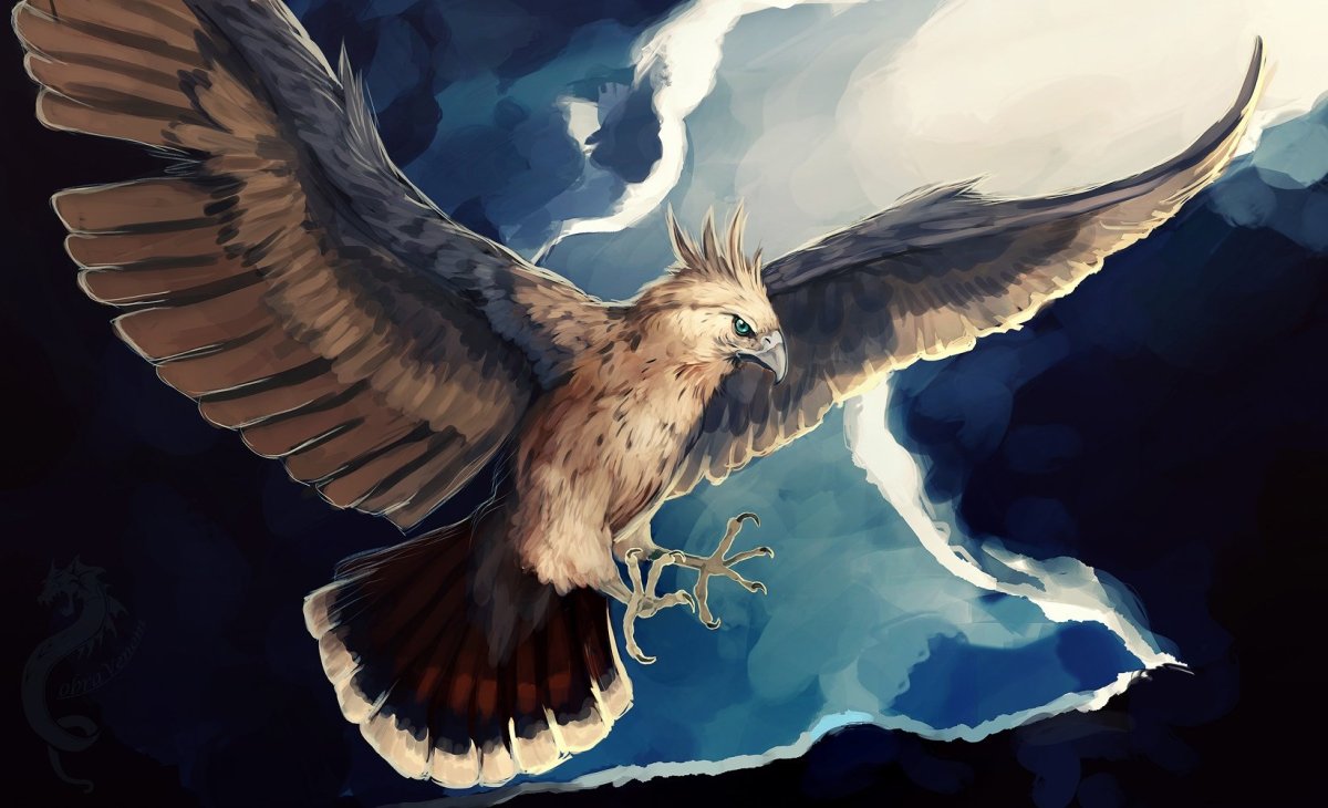 Ястреб Орел арт фэнтези
