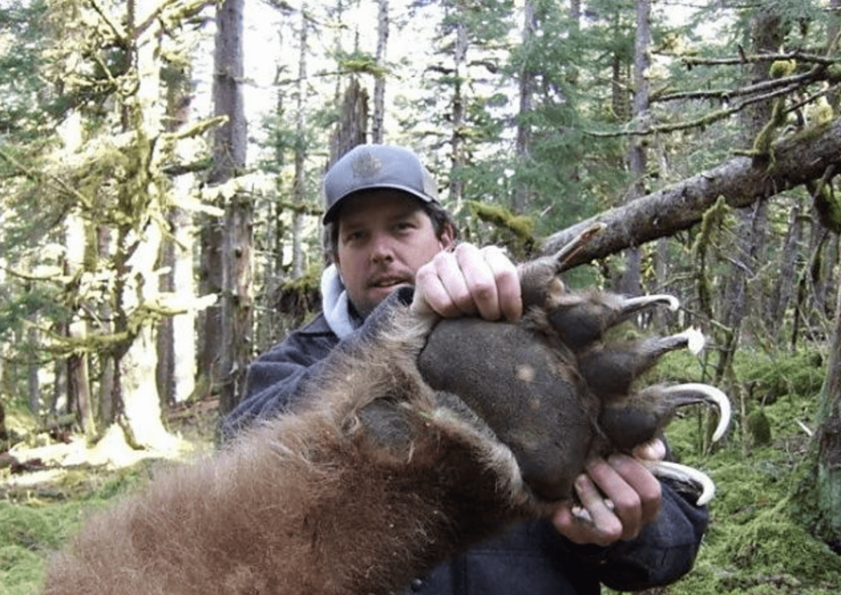 Гигантский медведь людоед Гризли