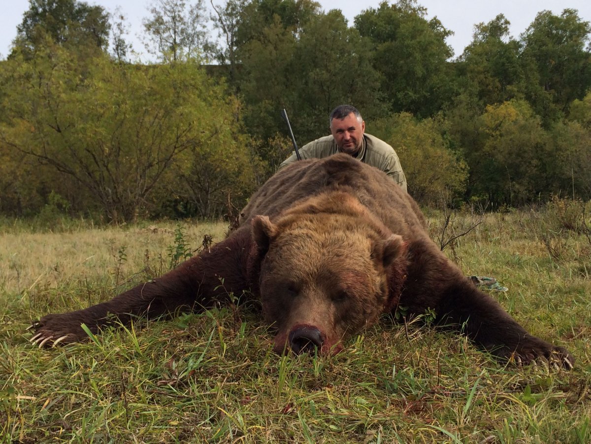 Медведь людоед Ханты Мансийск
