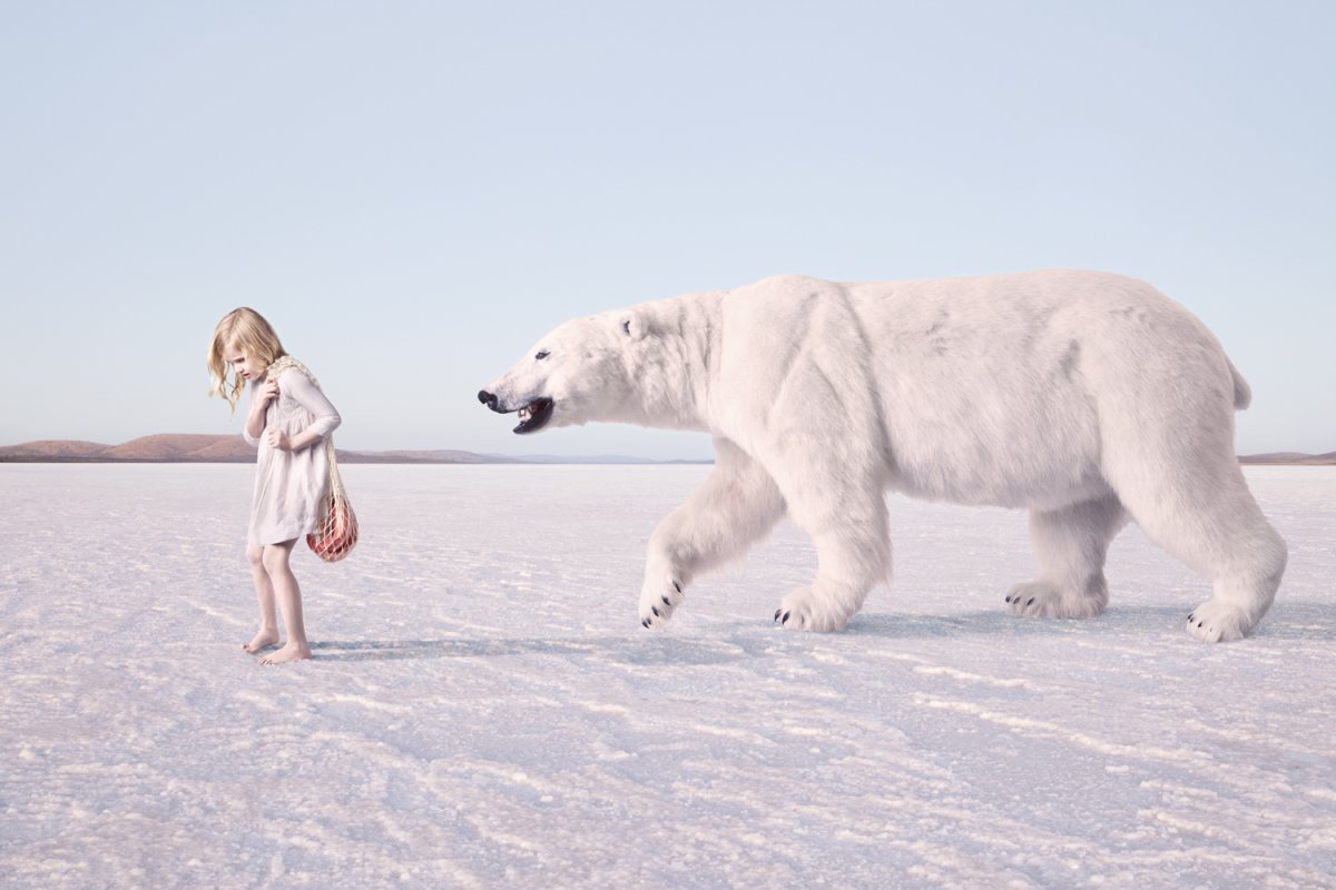 Белый медведь рядом с человеком
