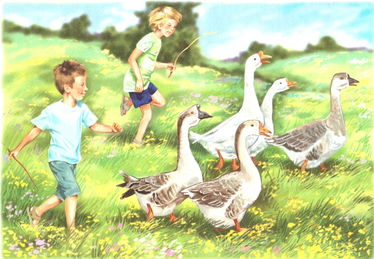 Сюжетные картины для детей