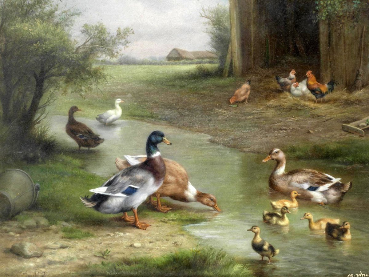 Эдгар Хант утки