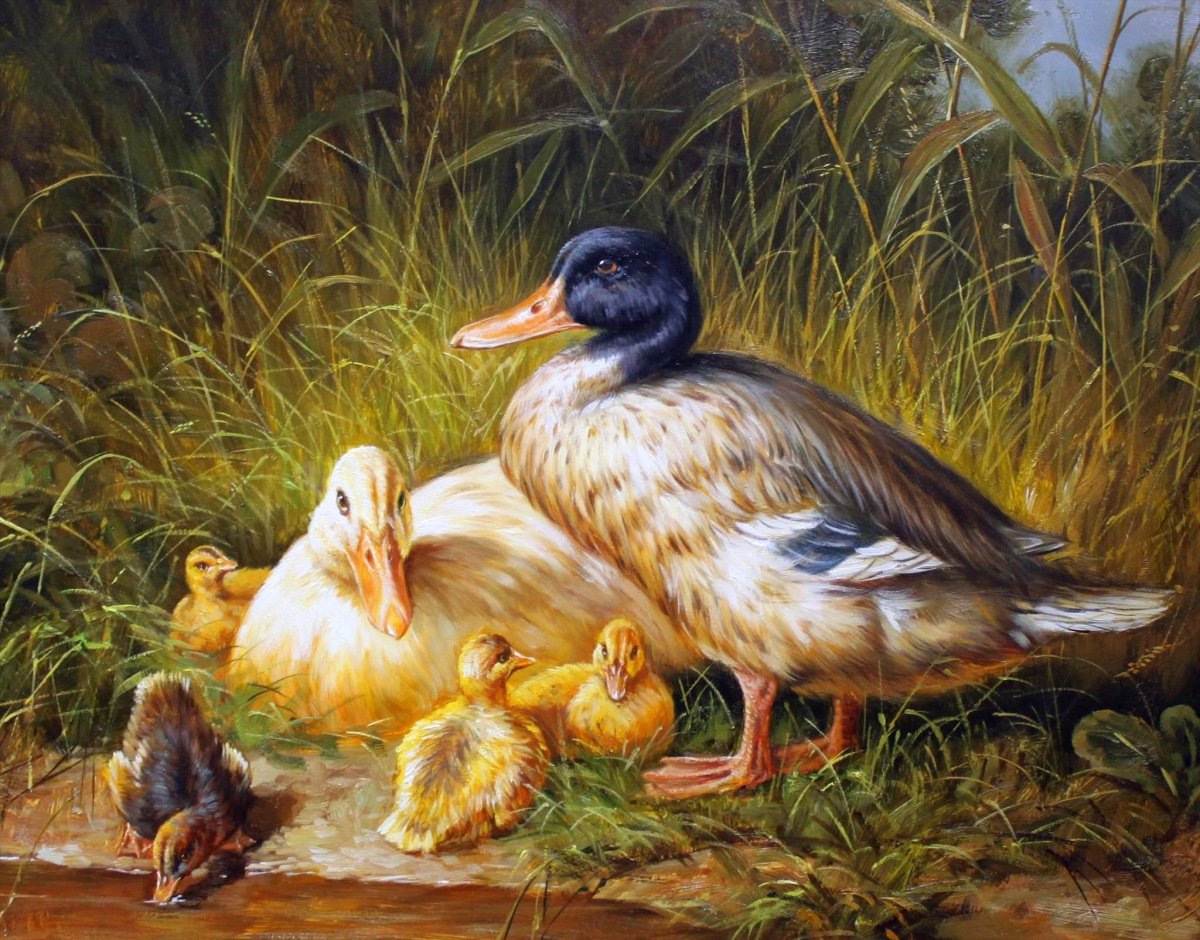 Carl Jutz птичий двор