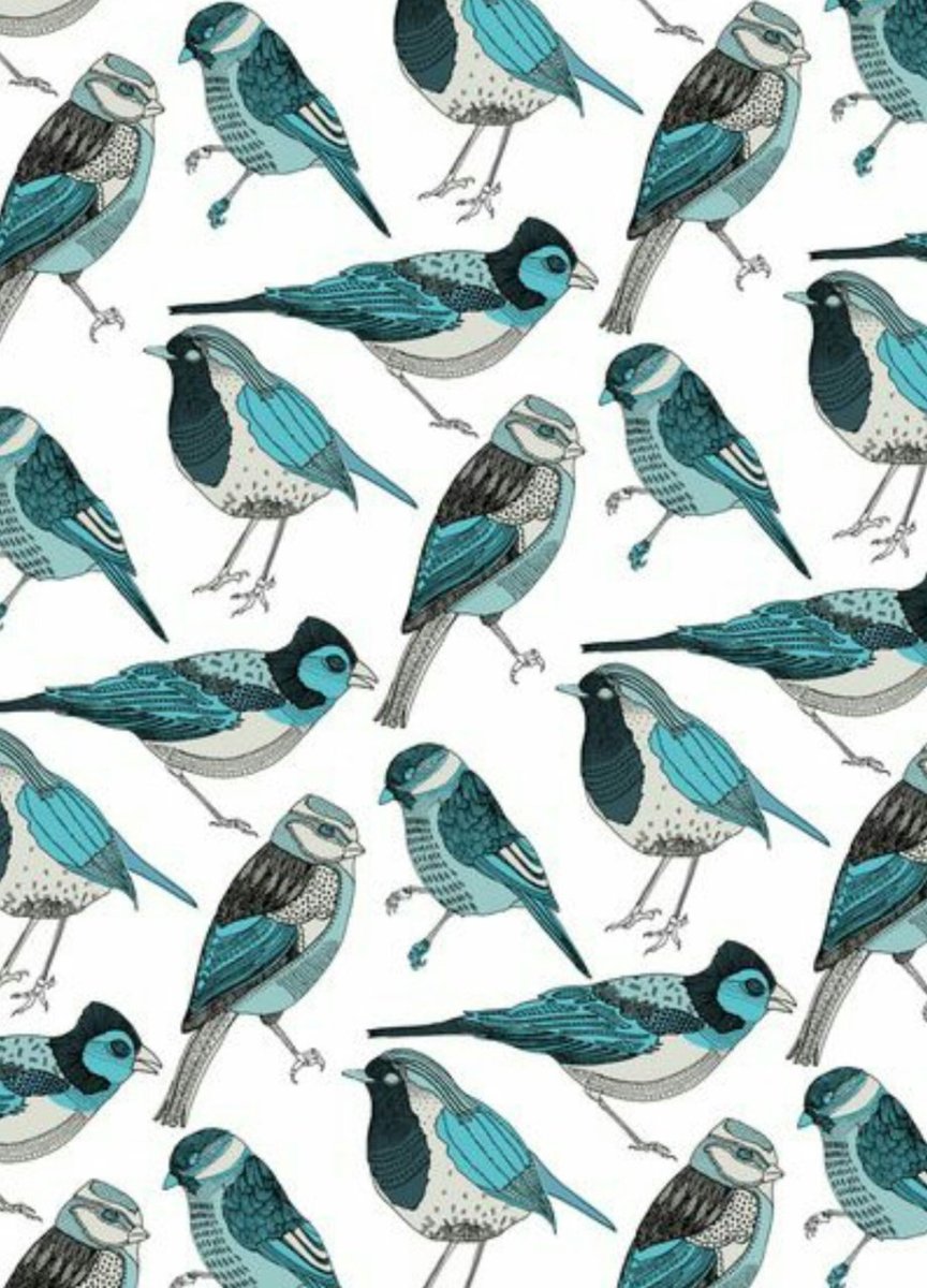 Паттерн птицы