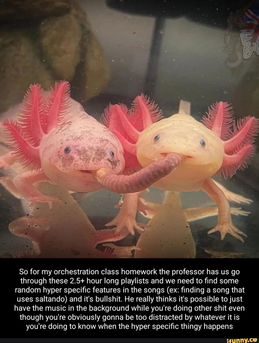 Аксолотль розовый