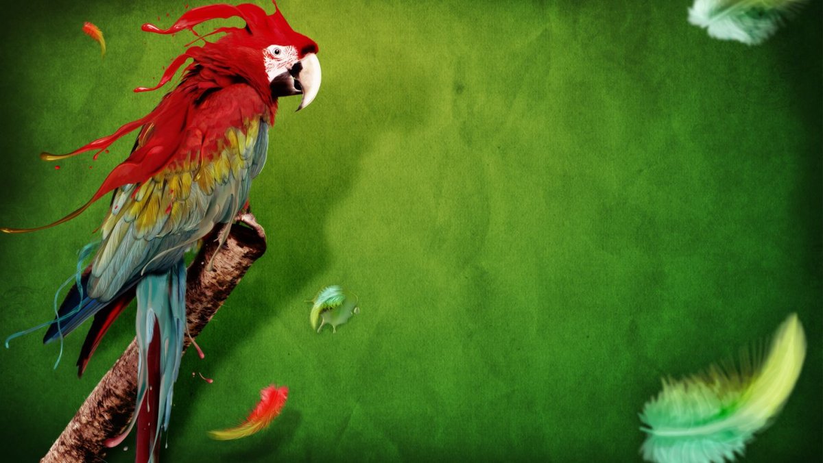 Попугай абстракция