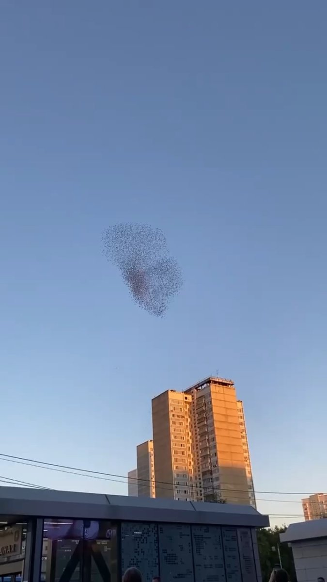 Небо над Москвой