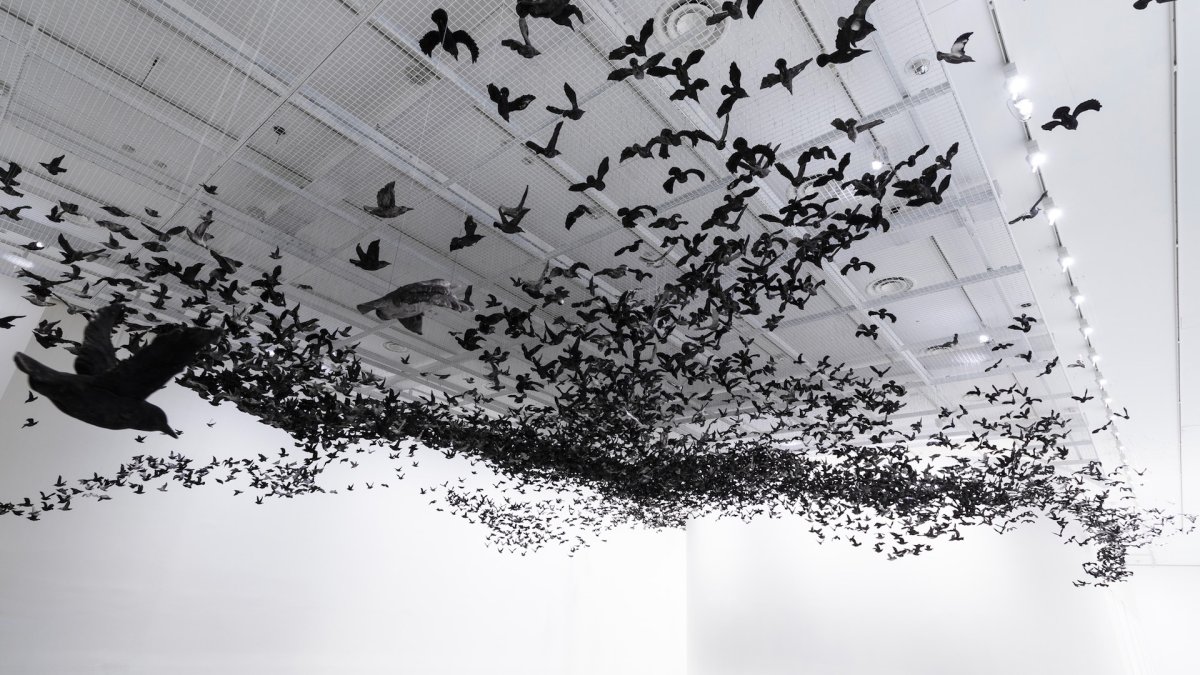 Цай Гоцян инсталляции