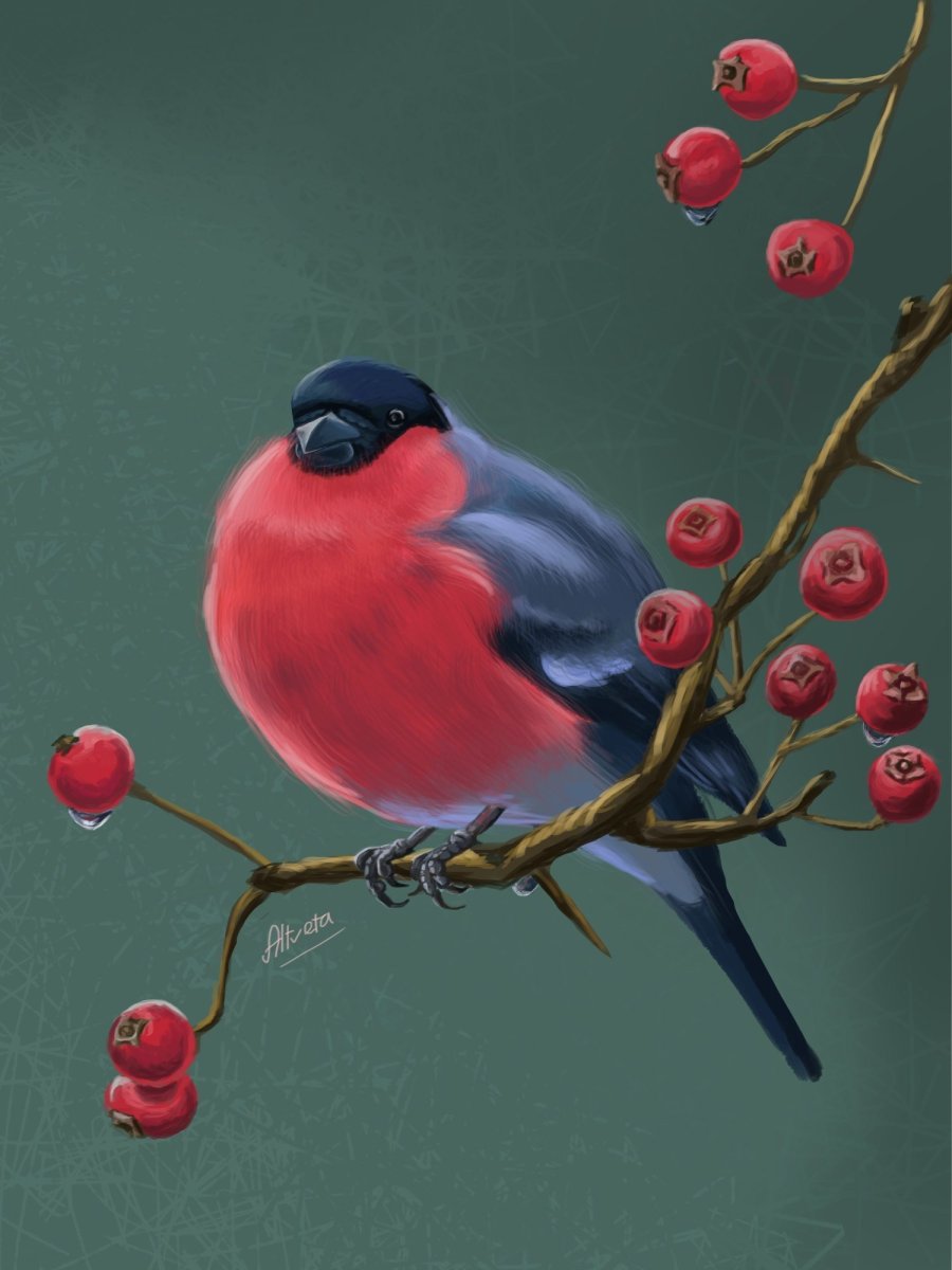 Снегирь референс