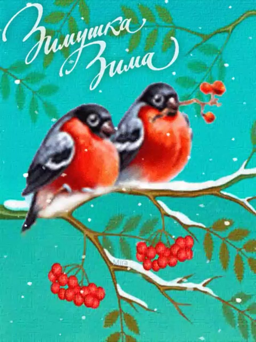 Снегири зимой